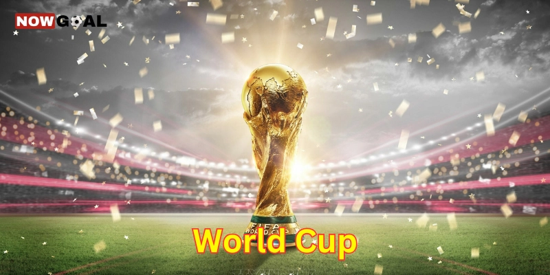 Top 5 Trận Chung Kết World Cup Hấp Dẫn Nhất Lịch Sử 1 World Cup là gì ?